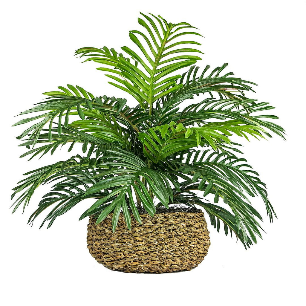 Artificial Plant, 14" Artificial Phoenix Palm in Low Round Handwoven Basket by LCG Florals, Faux Designer Fake Indoor Tabletop Plant for Living Room, Office, and Home Décor