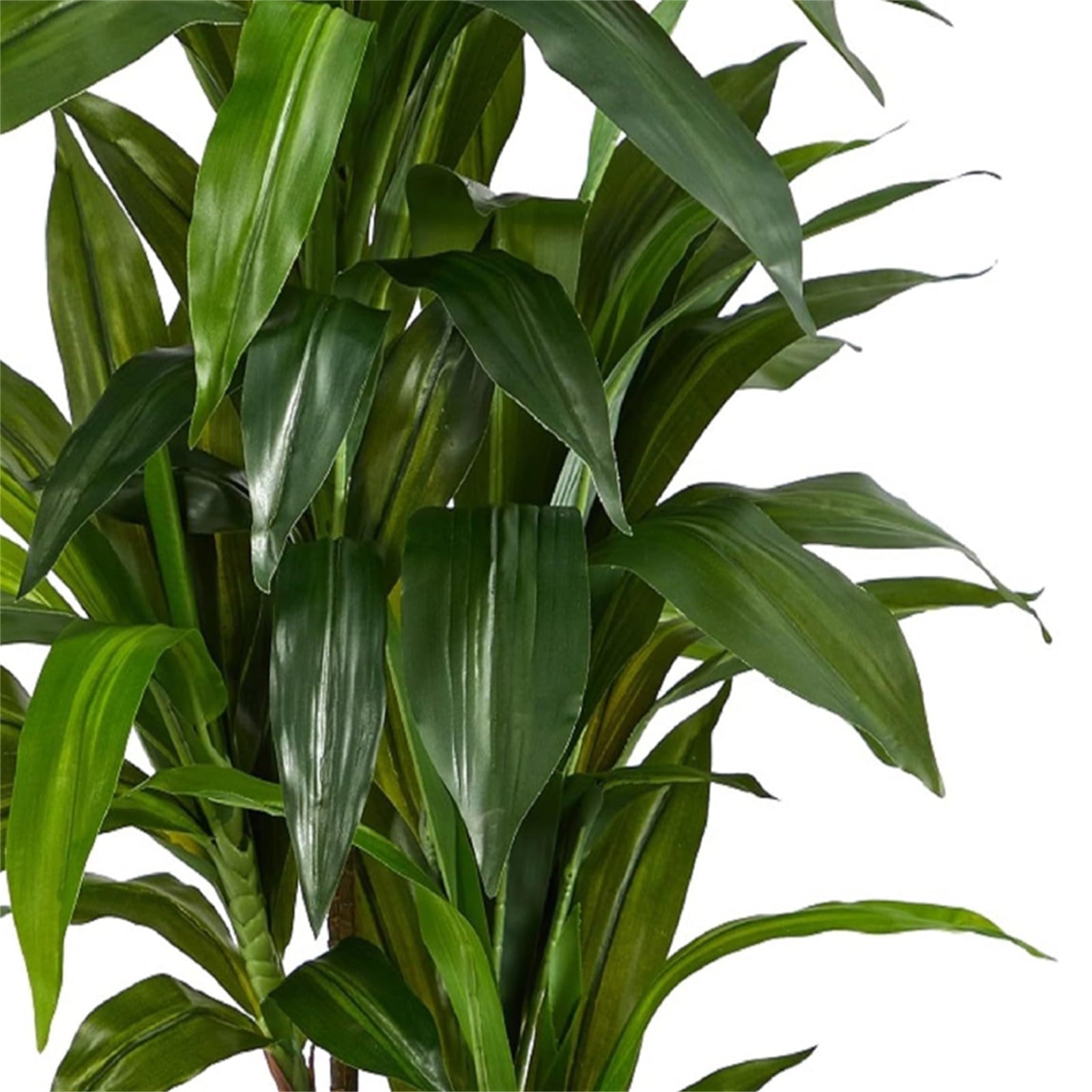 Artificial Dracaena Tree, Artificial Plants Indoor With White Planter, Tropical Fake Plant In Pot With Adjustable Branche